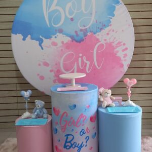 Boy or Girl 2