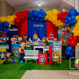 Patrulha canina combo