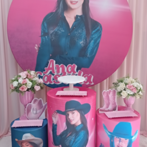 Ana castelo boiadeira