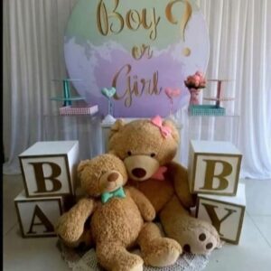 Chá revelaçao boy & Girl